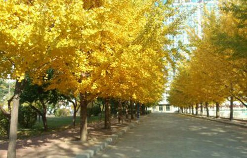 广西梧州财经学校