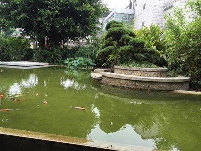 自贡市永安职业中学校