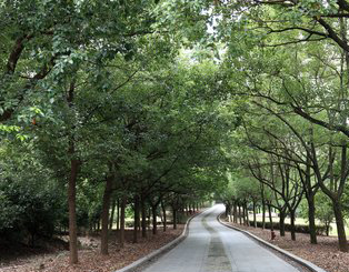 自贡龙锦职业技术学校