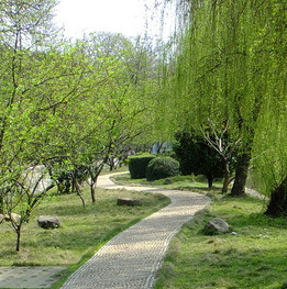 自贡飞鱼职业学校