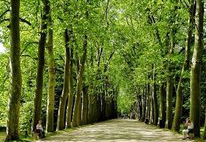 岳池白庙职业中学校