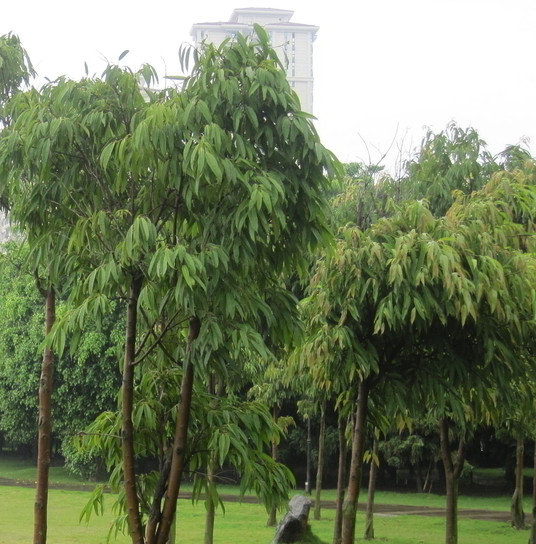 岳池白庙职业中学校