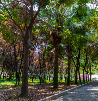 宜宾南亚电子职业技术学校