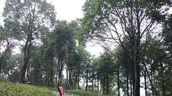 宜宾南亚电子职业技术学校