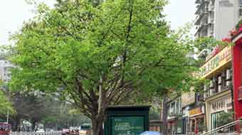 宜宾南亚电子职业技术学校