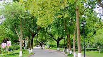 西昌第一职业技术中学