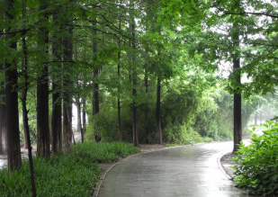 四川省商业服务技工学校