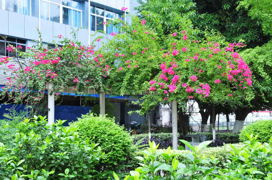 四川省南充中等专业学校