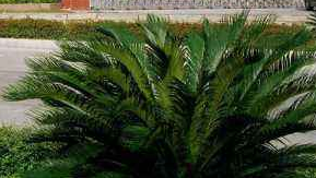 四川省蚕丝学校