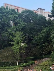 双流县华阳职业高级中学