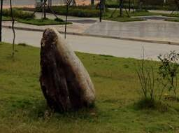 绵阳服装职业技术学校