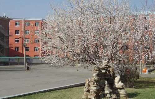 梧州轻工技工学校