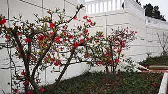 绵阳灵通电气技工学校