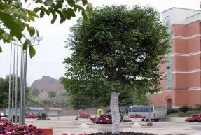 四川省信息通信学校