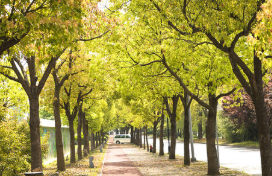 南充电子技术学校