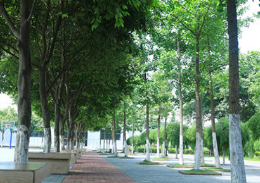 遂宁职业技术学校