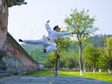 乐山大佛文武学校