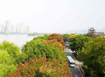 乐山大佛文武学校