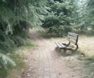 广元朝天职业中学