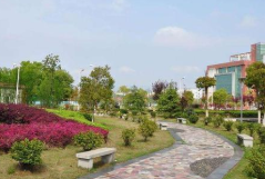 广元凤凰职业技术学校