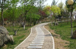 大竹县石子职业中学