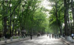 大竹县中峰职业技术学校