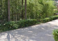 苍溪县嘉陵职业学校