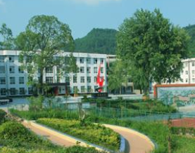 巴中信息技术学校