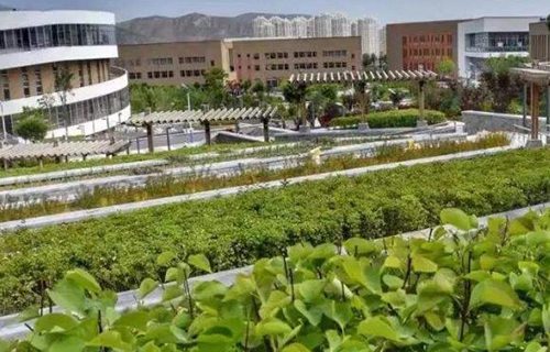 浦北第一职业技术学校