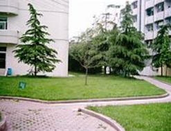 崇州市电子职业技术学校