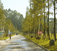 乐山市金盾职业学校