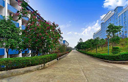 平南县成才职业技术学校