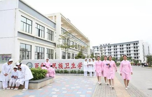 百色民族卫生学校
