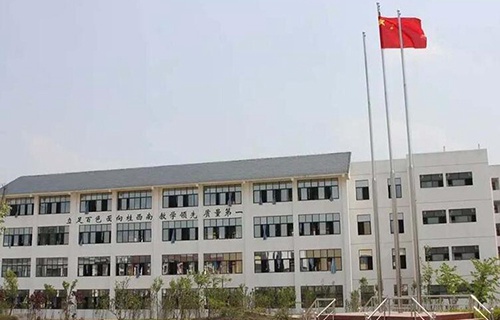 百色民族卫生学校