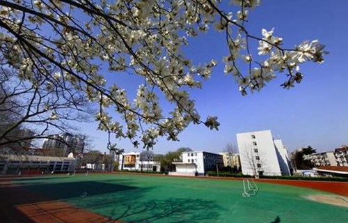 宜州市少林文武职业学校