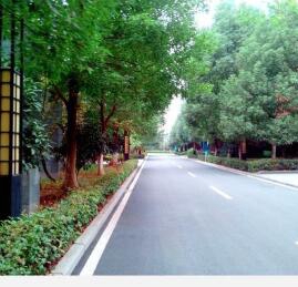 重庆南川隆化职业中学校