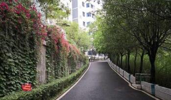 重庆涪陵创新计算机学校