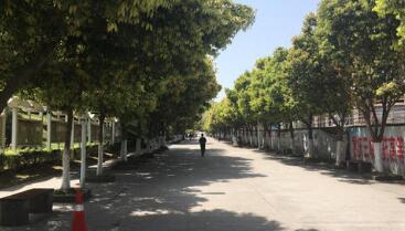 重庆万州三峡服装艺术学校