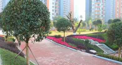 重庆城市建设技工学校