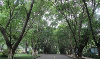 重庆市巫山县职业教育中心