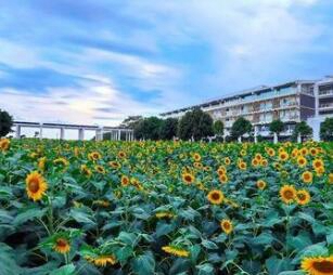 广西交通技师学院