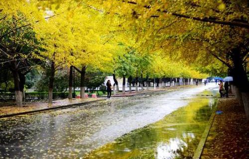 柳江职业教育中心