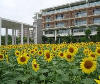 南宁第四职业技术学校