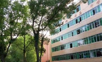 靖西职业技术学校