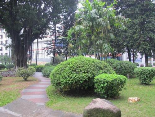 苍梧中等专业学校