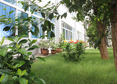 攀枝花华森职业学校