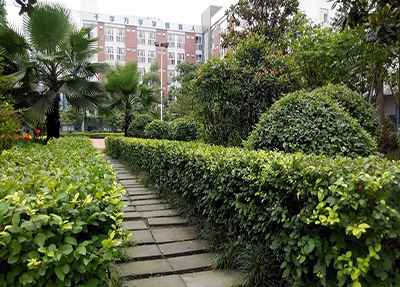 成都华商理工职业学校