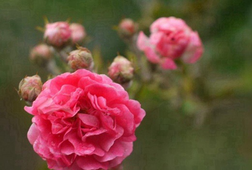 四川工程职业技术学院