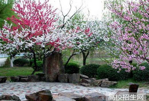 自贡大安职业技术学校