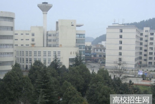 贵州电子科技职业学院
